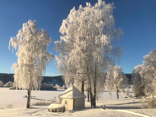 Snødekt gårdsplass