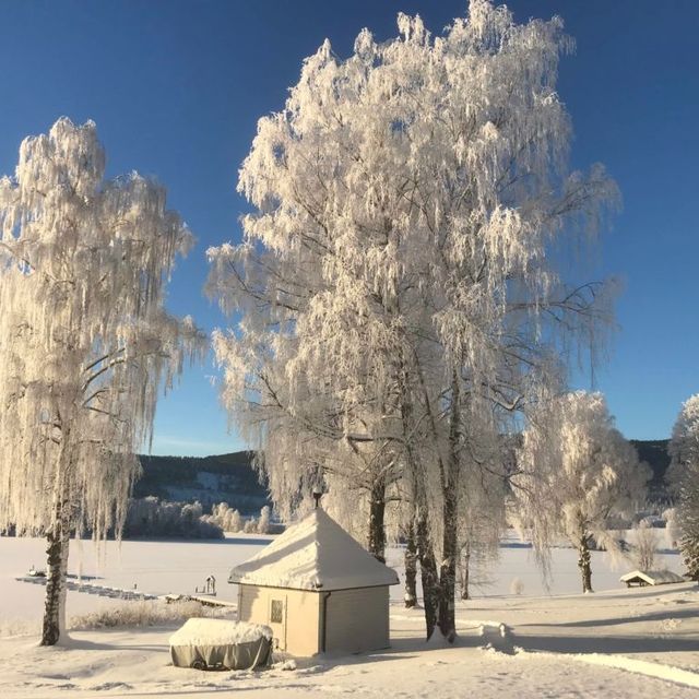 Snødekt gårdsplass